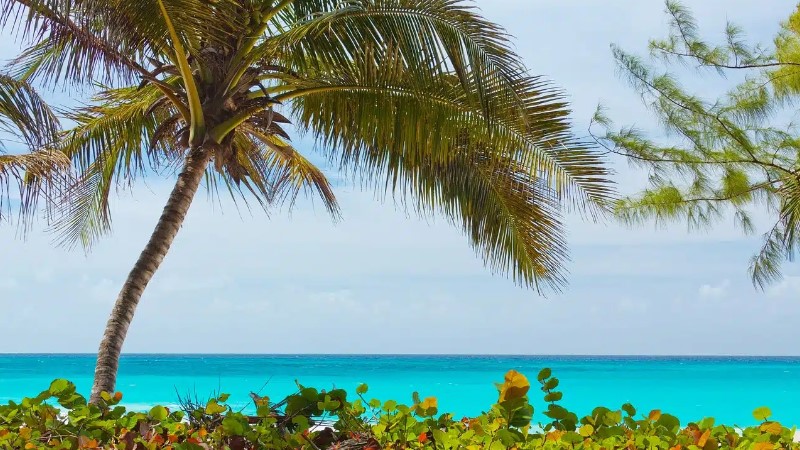 Destination i Karibien på seglatsen över Atlanten. Perfekt för att sola och bada.