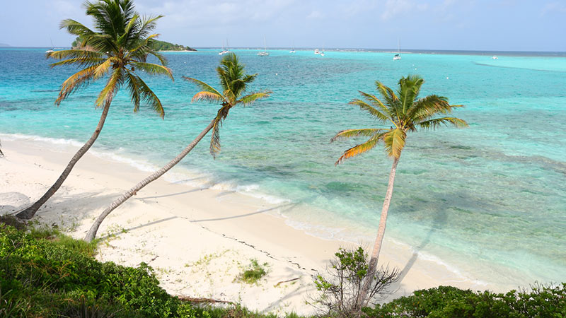 Kaptenens favorit, Grenadinerna